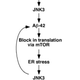Illustration for article titled New treatment reduces a key Alzheimers Disease protein by a staggering 90 percent
